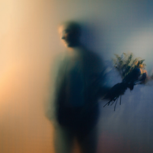 Bloom - 