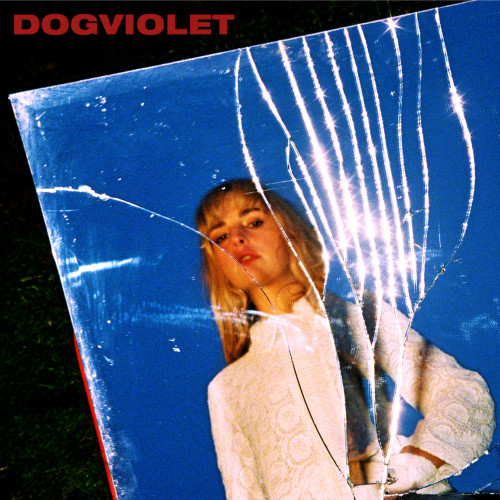 DOGVIOLET - 