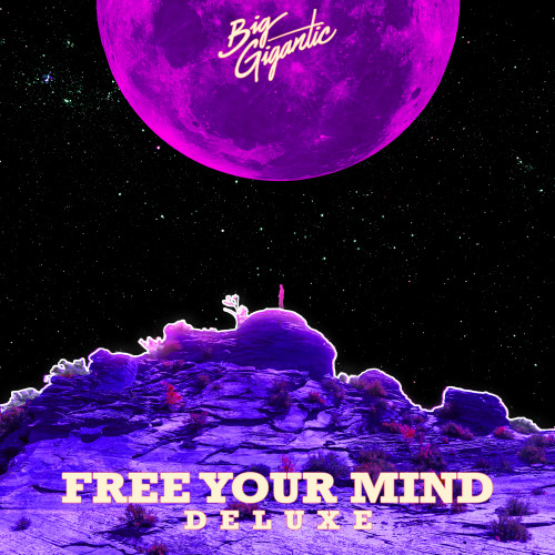 Free Your Mind (Deluxe Version) - Big Gigantic