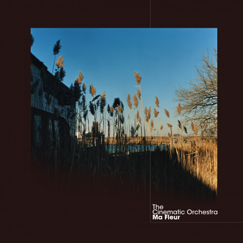 Ma Fleur - The Cinematic Orchestra