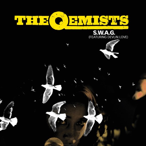 S.W.A.G. - The Qemists feat. Devlin Love